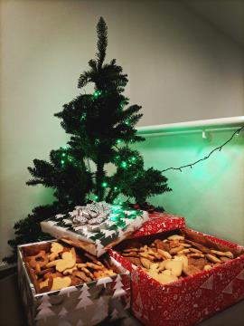 Fotografija 2  - piškoti